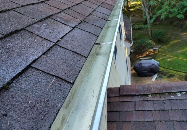 Gutter Cleaning