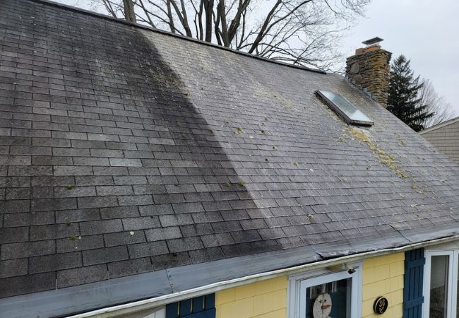 Roof Cleaning